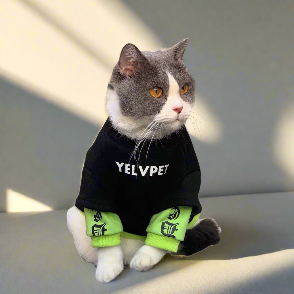 Cozy Autumn & Winter Pet Clothes