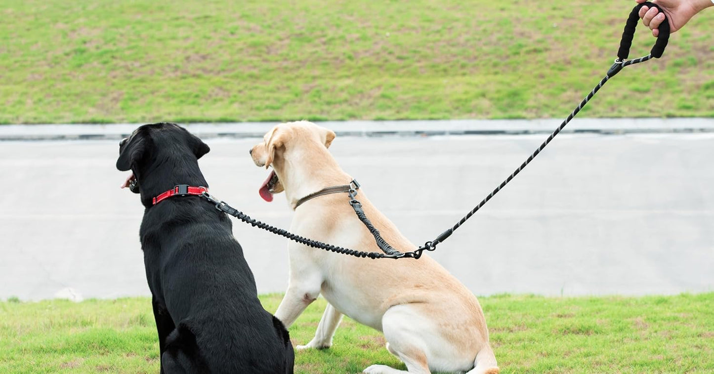 Dual Dog Leash