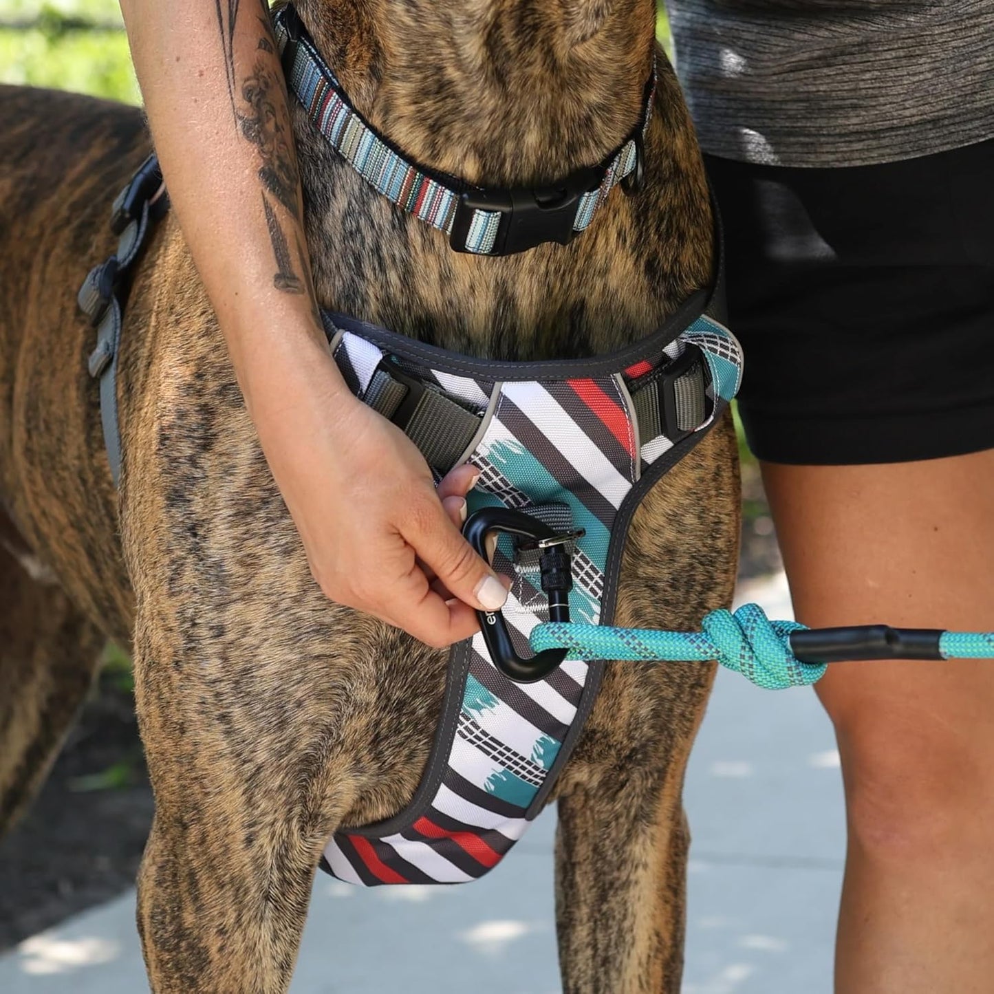 Adventure Dog Harness