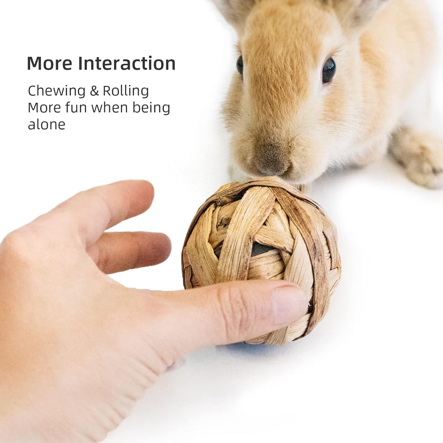 Small Animal Activity & Chew Balls – Fun Rolling Toys for Rabbits, Guinea Pigs, and Chinchillas