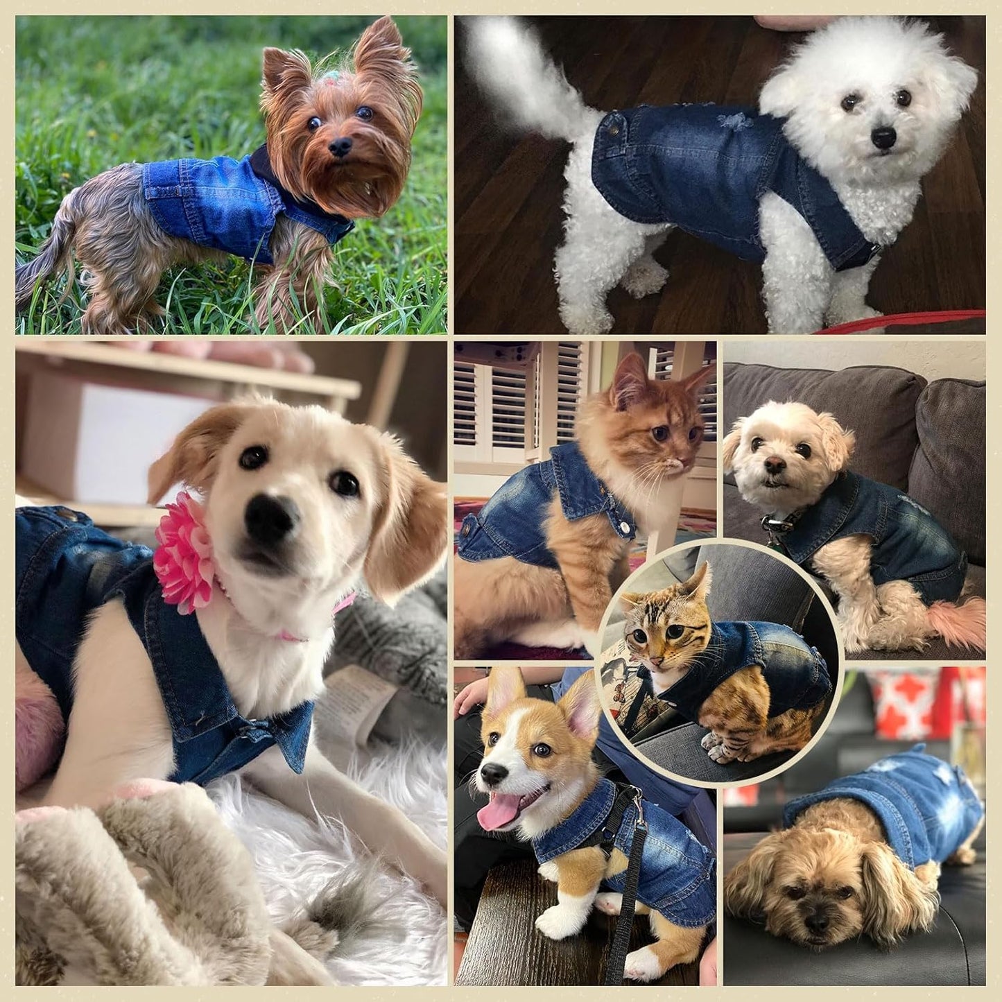 Cool Dog Jean Jacket Small Puppy Outfits Frenchie Clothes Denim Coats for Small Medium Dogs Cats Boys Girls Pet Vest Dog Shirt Clothing Doggy Costume (Blue, XsďźSuggest 2-4 Lbsďź)