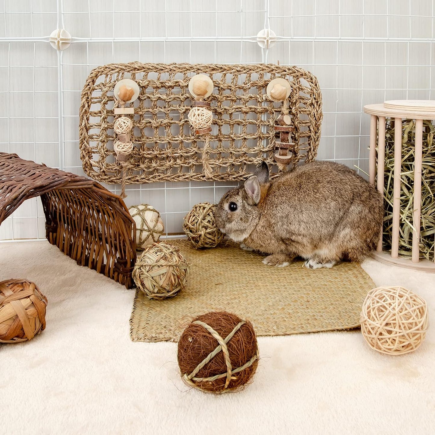 Small Animal Activity & Chew Balls – Fun Rolling Toys for Rabbits, Guinea Pigs, and Chinchillas