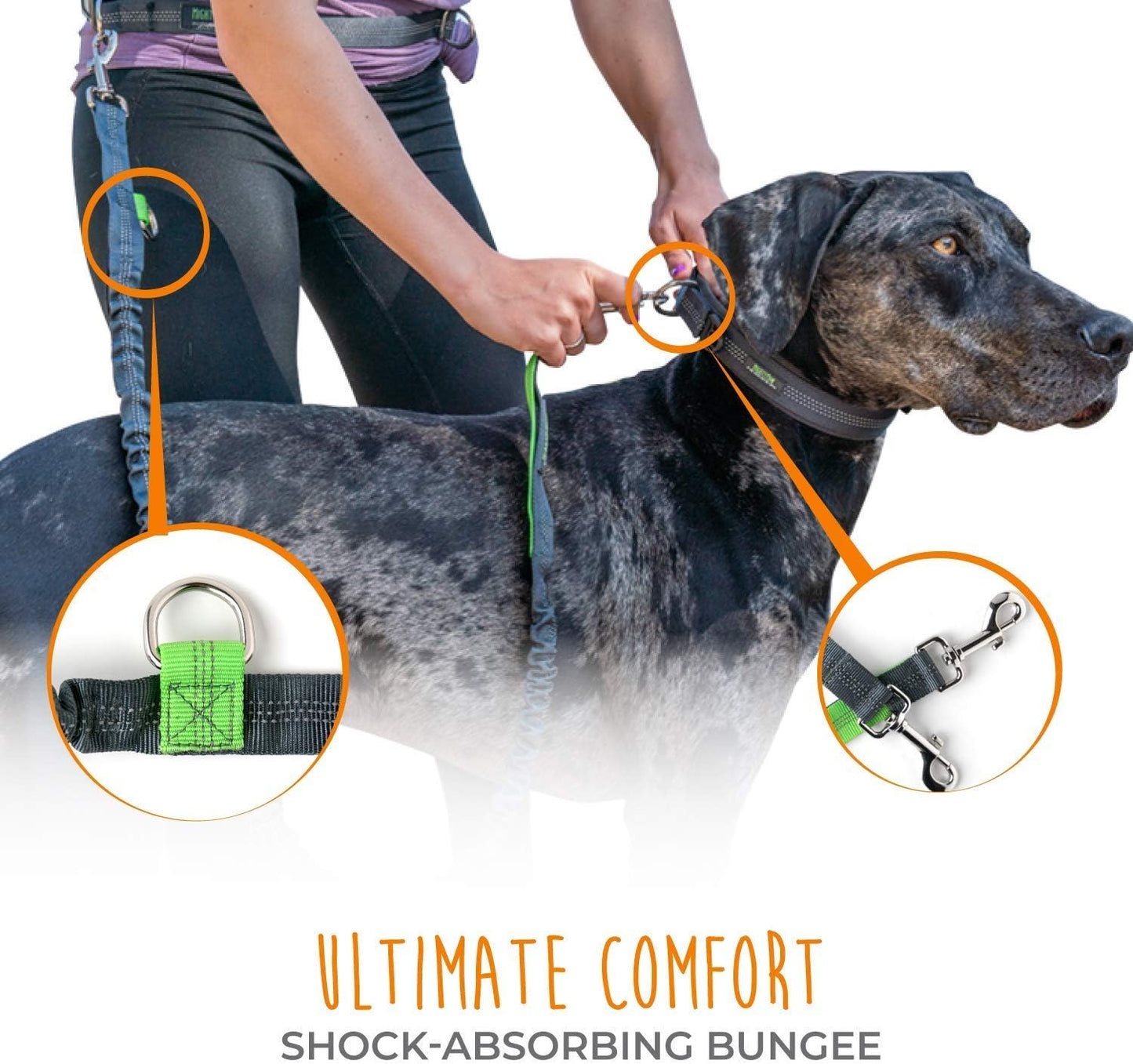 Hands Free Dog Leash