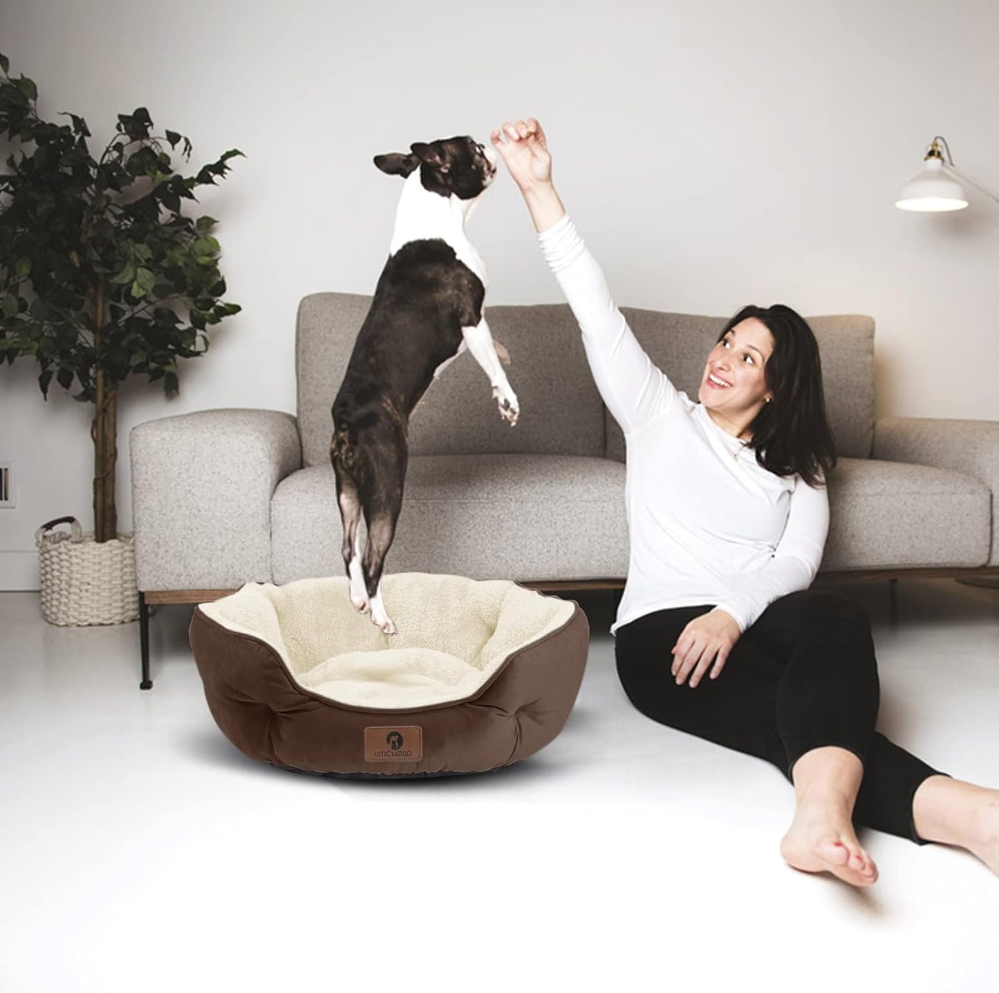 Small Dog Bed β Extra Soft Pet Bed for Small Dogs, Cats, Puppies & Kittens β Machine Washable with Anti-Slip, Water-Resistant Bottom β Brown, 20 Inches