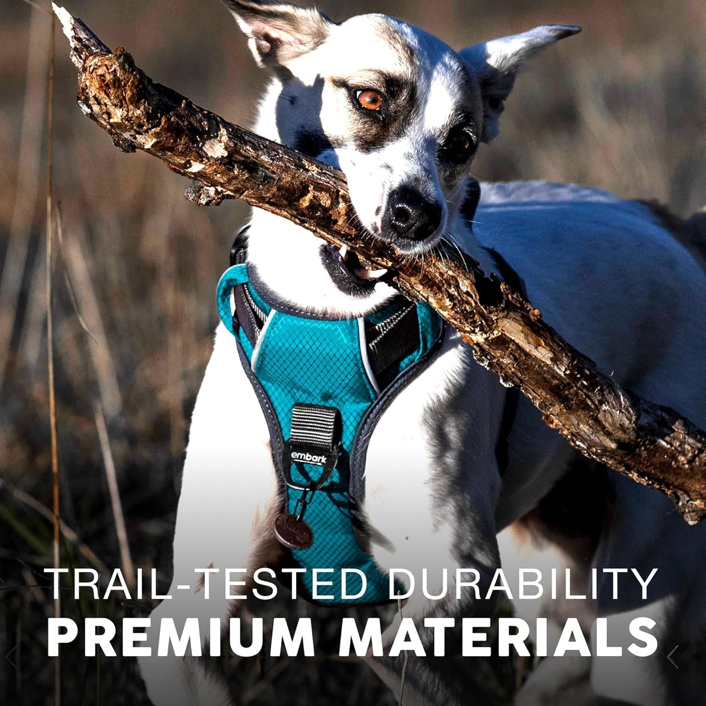 Dog Harness