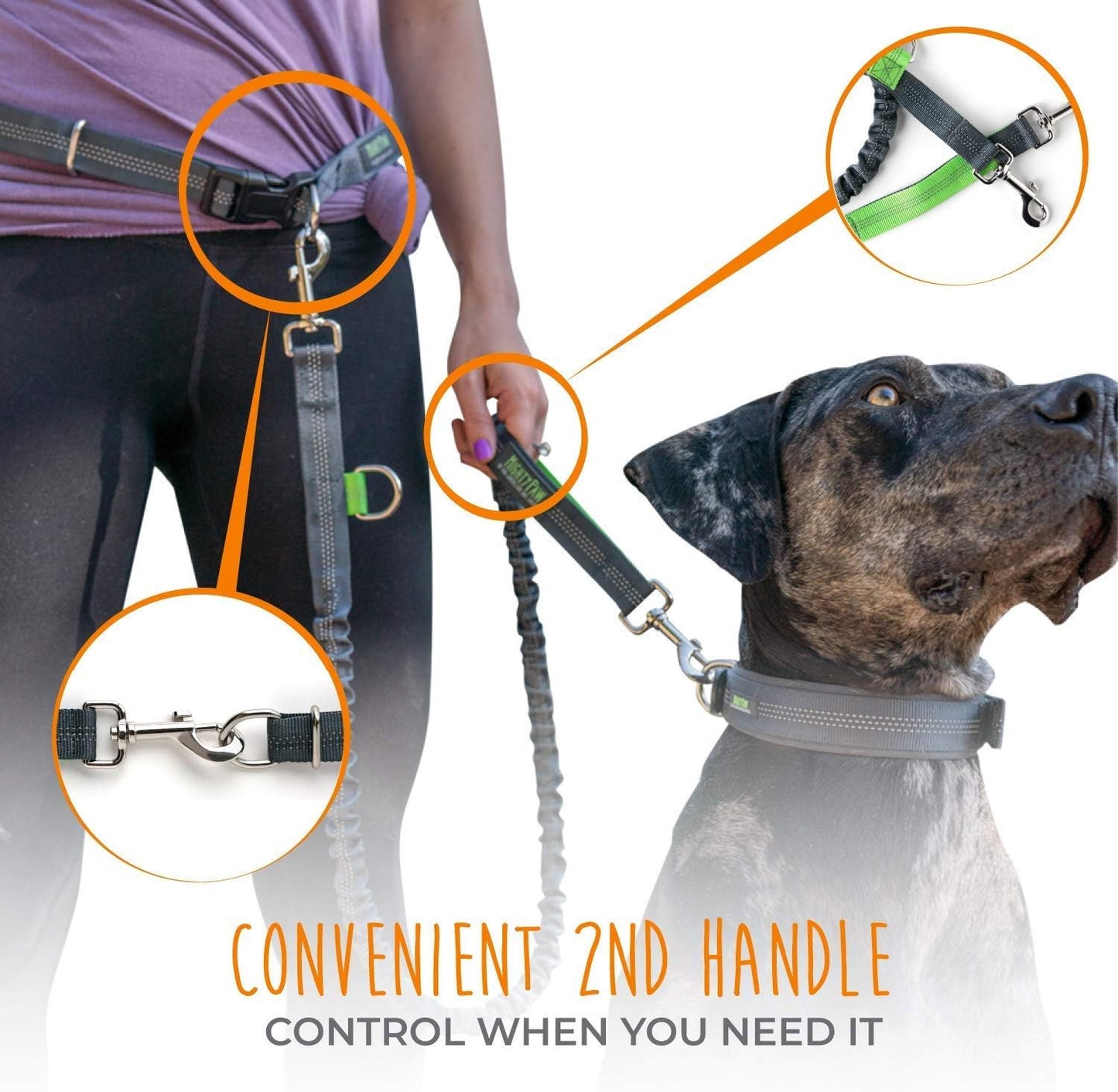 Hands Free Dog Leash
