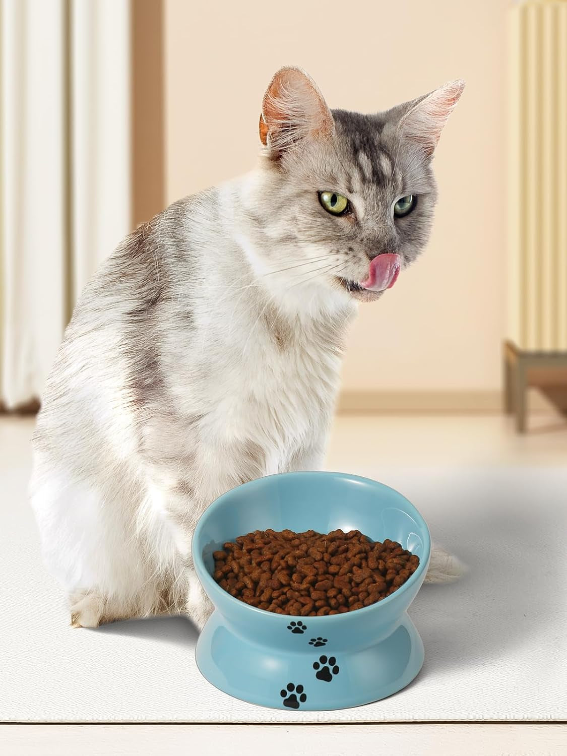 Elevated Ceramic Cat Food Bowl with Tilted Design – Spine-Friendly, Anti-Vomiting & Backflow Prevention, Lake Blue