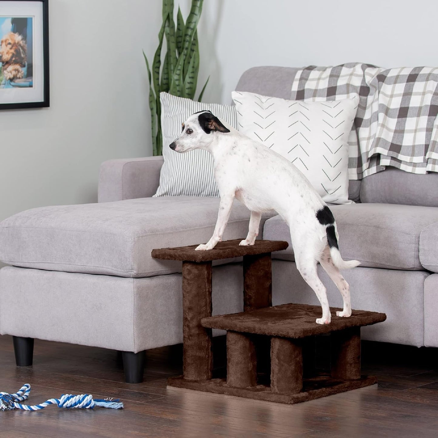 Steady Paws Multi-Step Pet Stairs