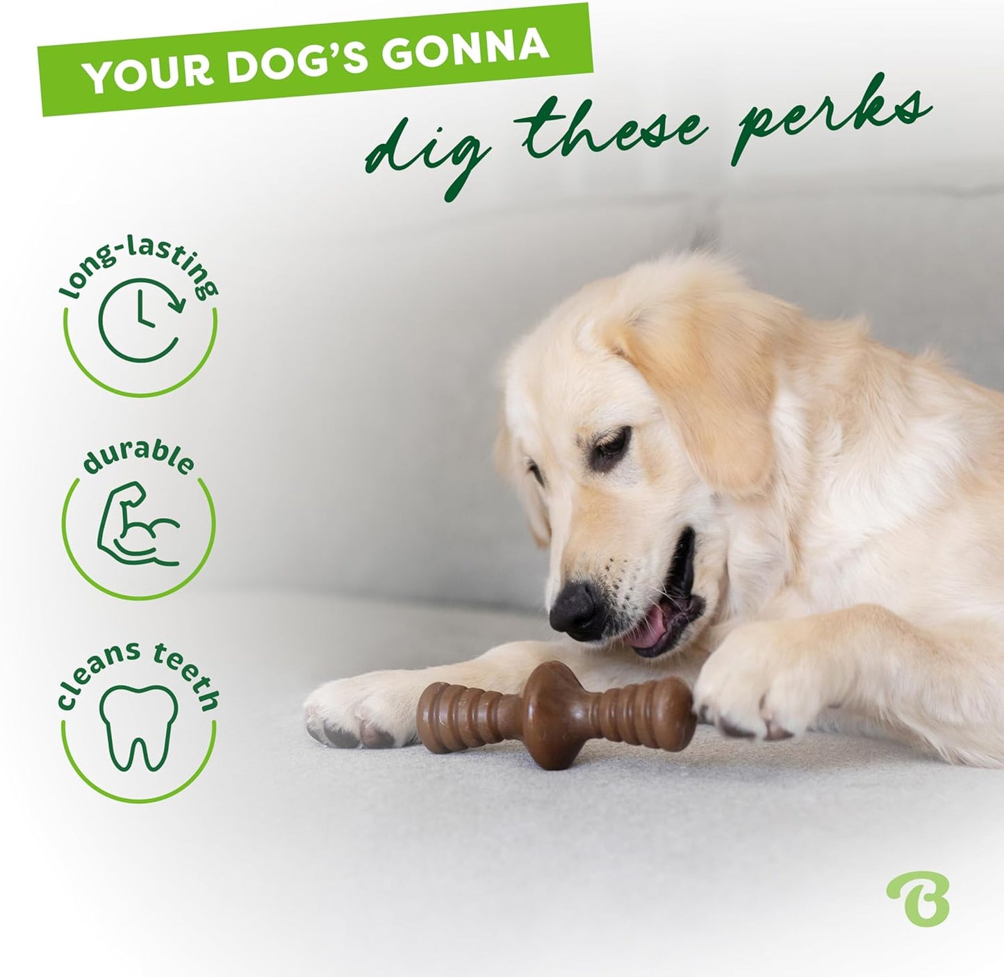 Dog Chew Toy