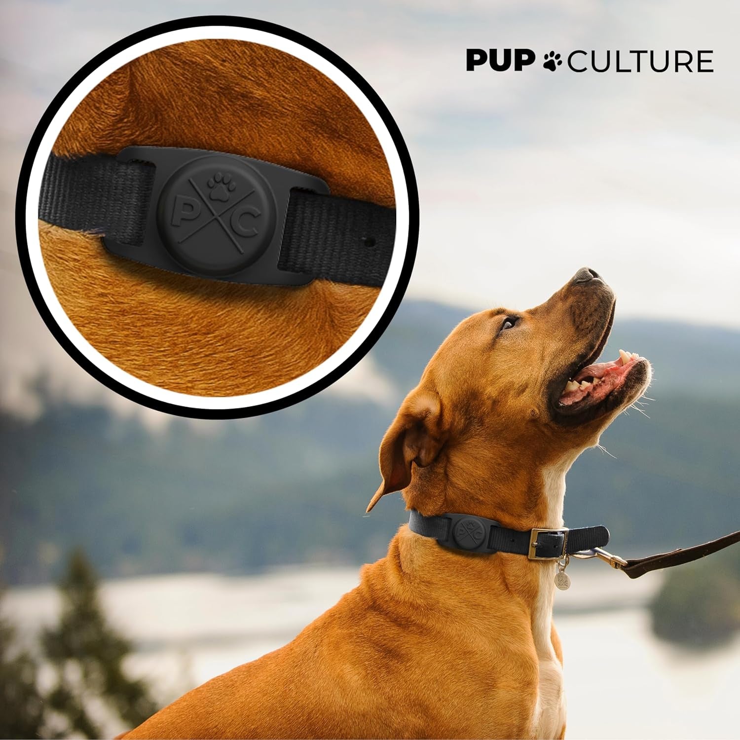 Durable Airtag Dog Collar Holder – Secure & Protective Tracker Case for Dogs & Cats Using Apple Airtag Technology