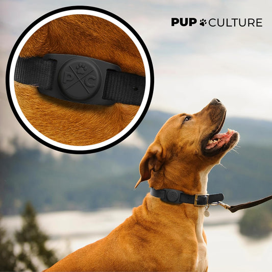Durable Airtag Dog Collar Holder – Secure & Protective Tracker Case for Dogs & Cats Using Apple Airtag Technology