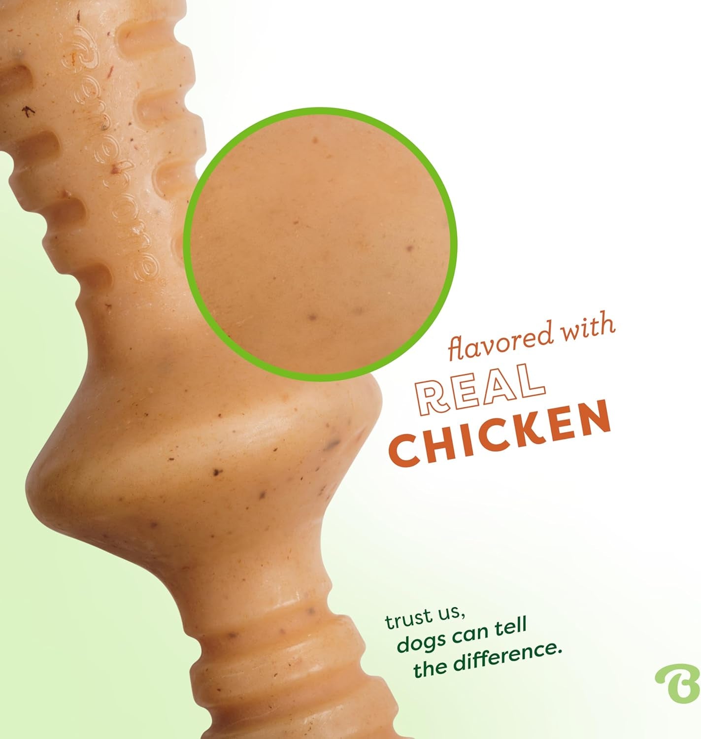 Dog Chew Toy