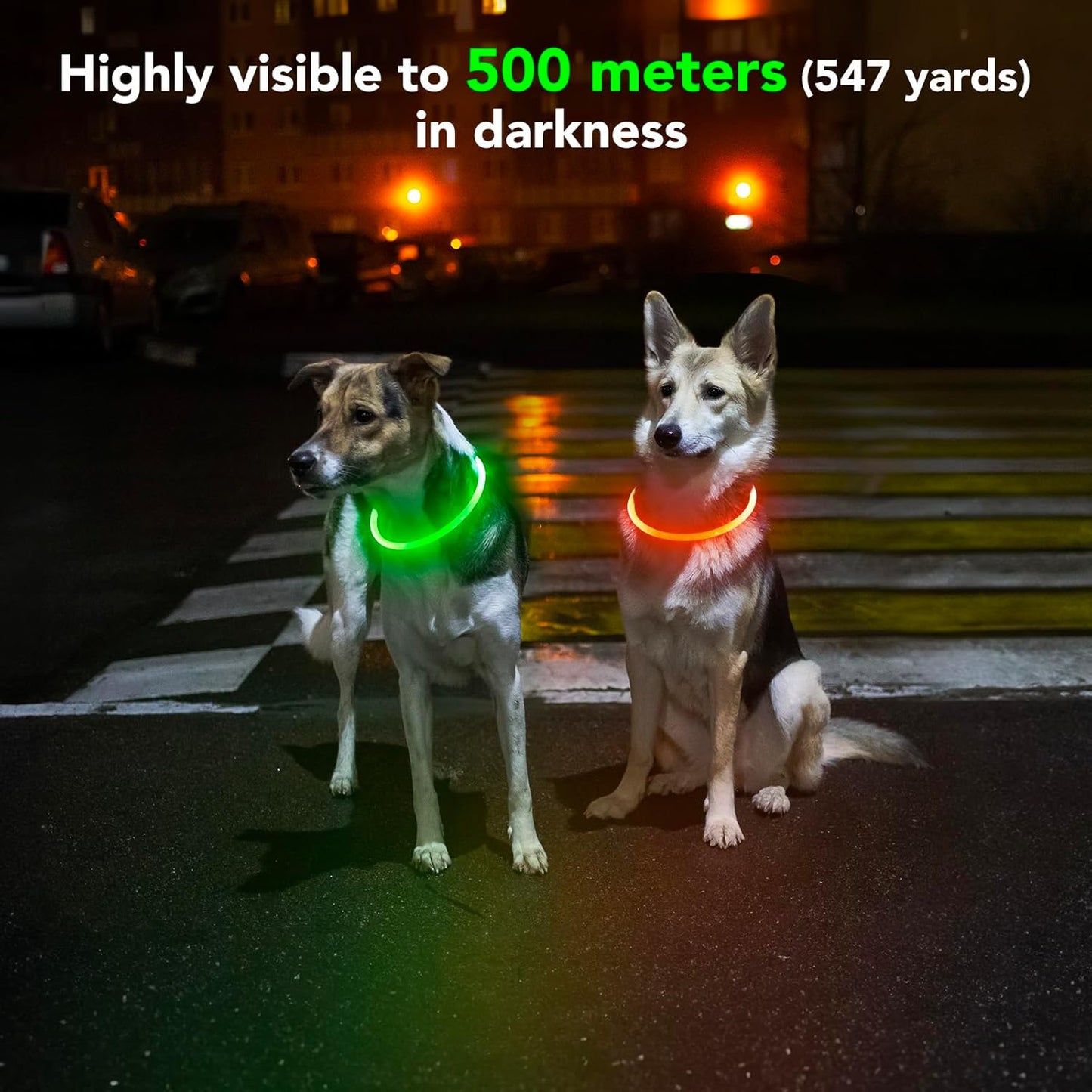 Led Dog Collar