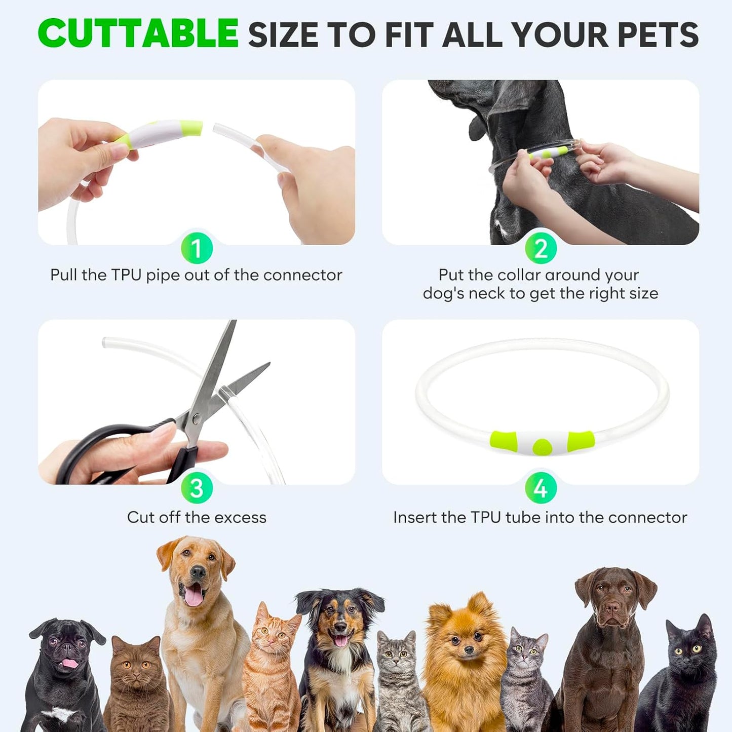Led Dog Collar
