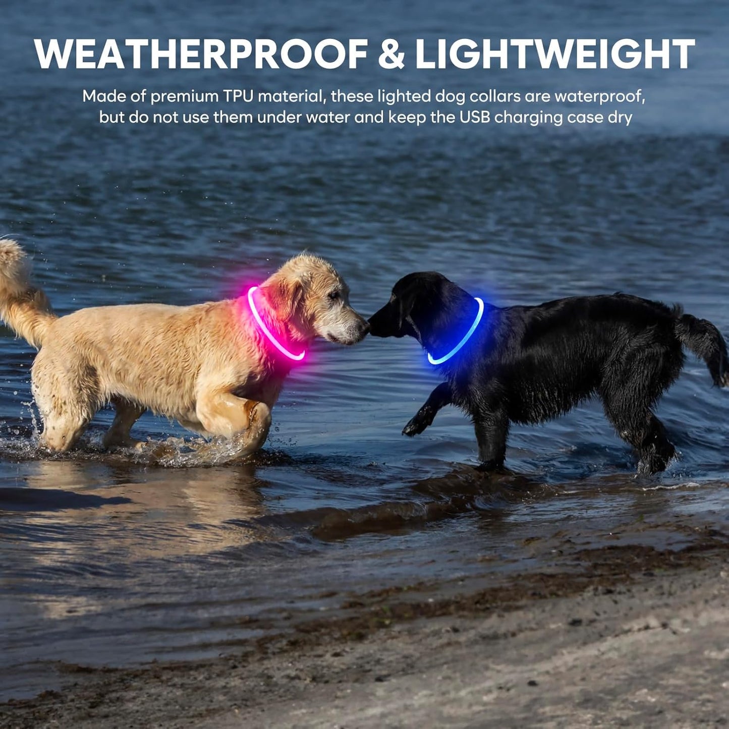 Light up Dog Collar