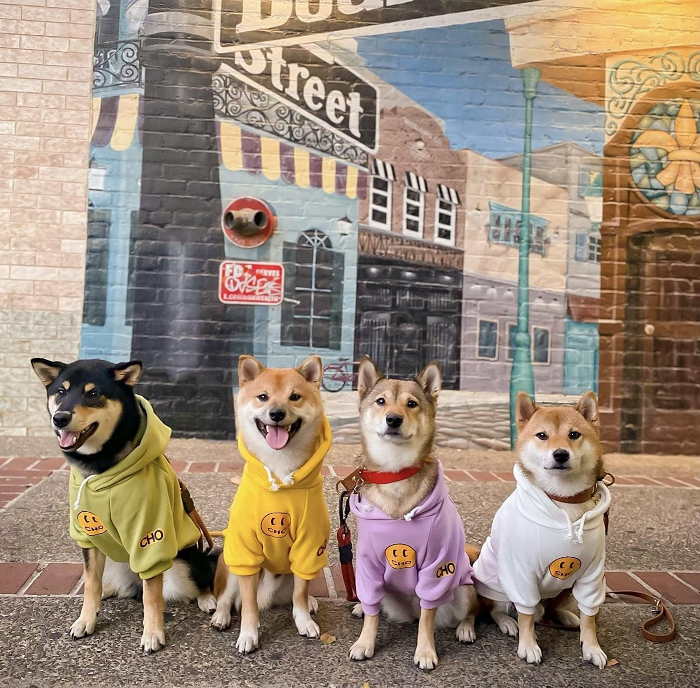 Smiley Face Dog Hoodie – Stylish Cotton Sweatshirt for Dogs & Cats, Cozy Pet Outfit for Small to Large Breeds (L, White)