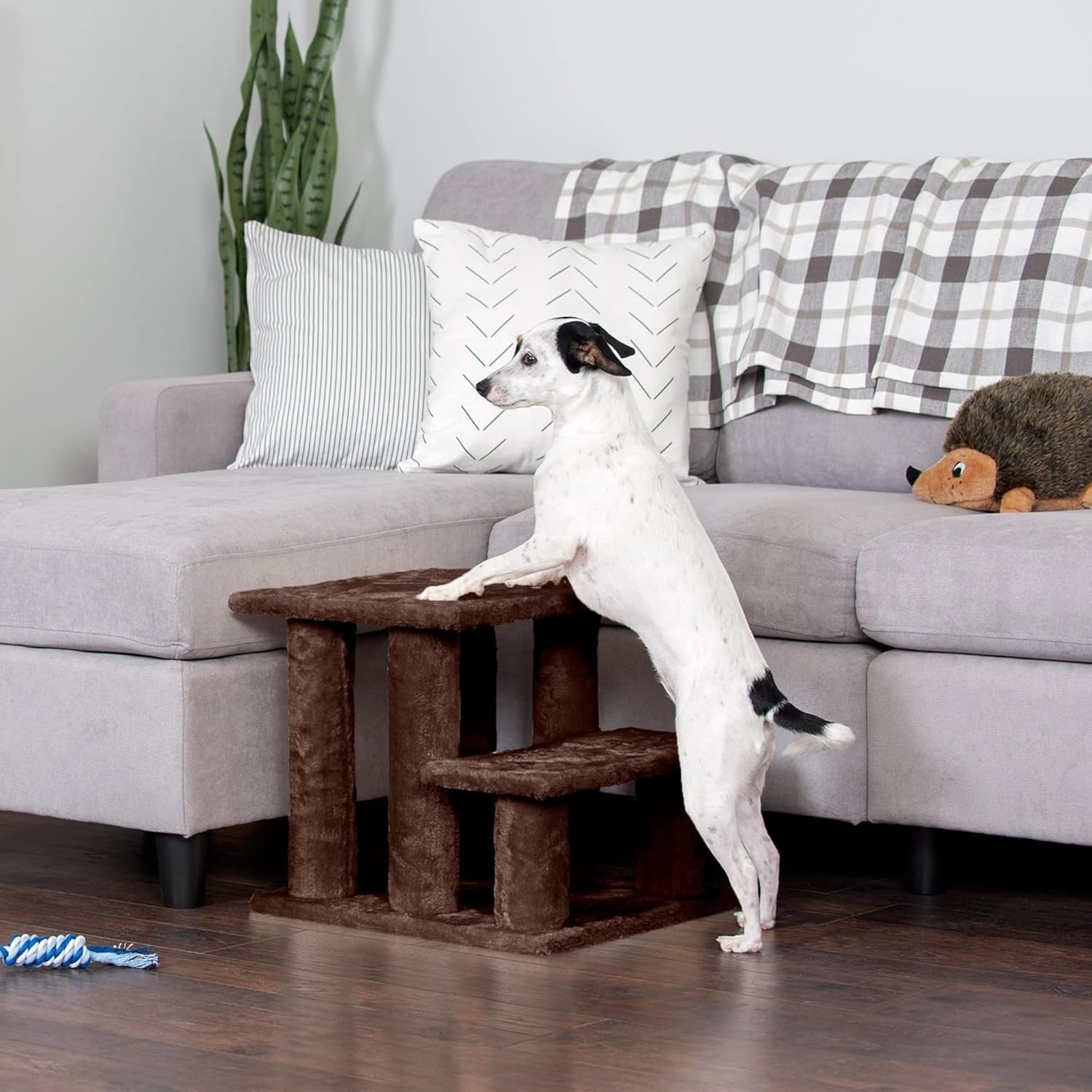 Steady Paws Multi-Step Pet Stairs