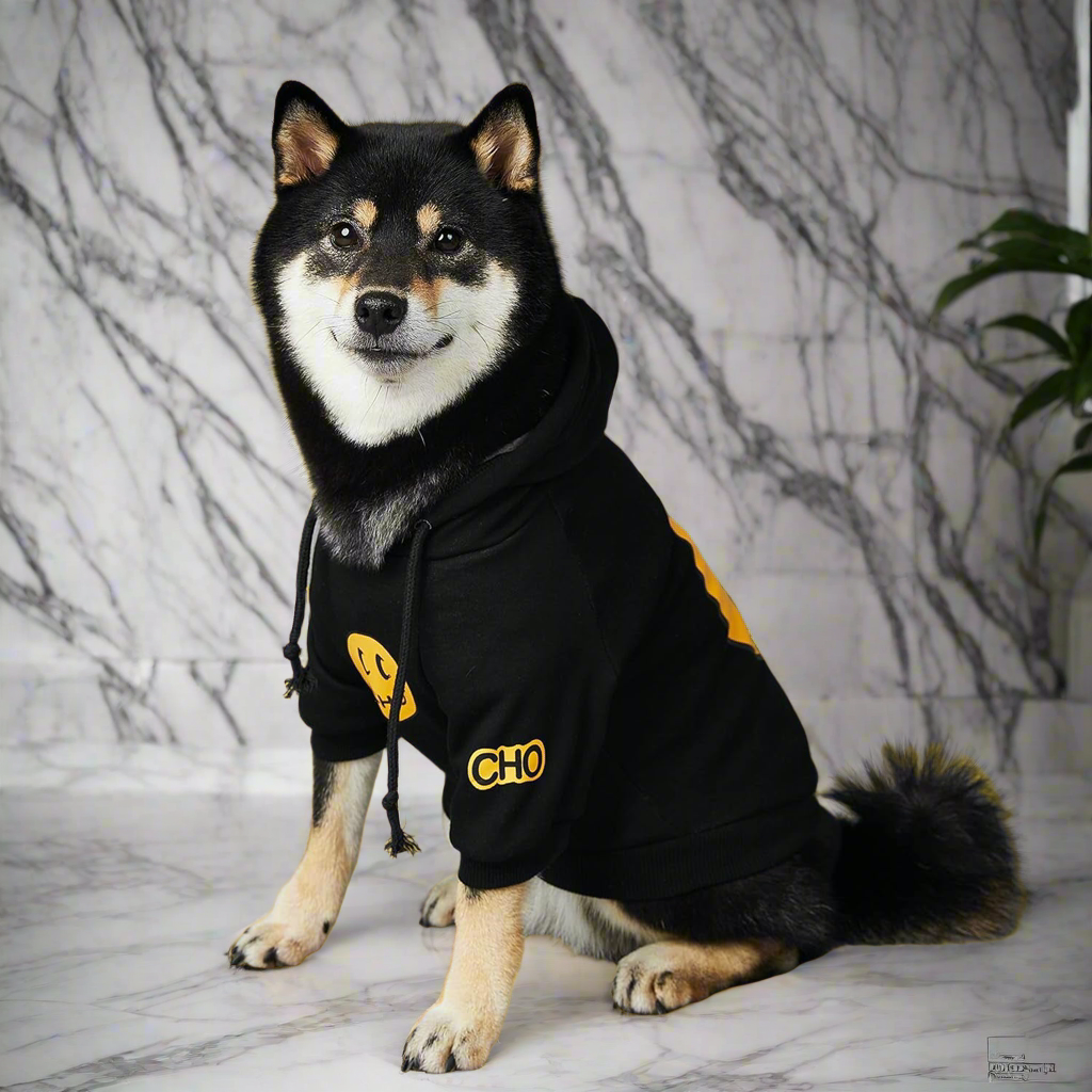Smiley Face Dog Hoodie