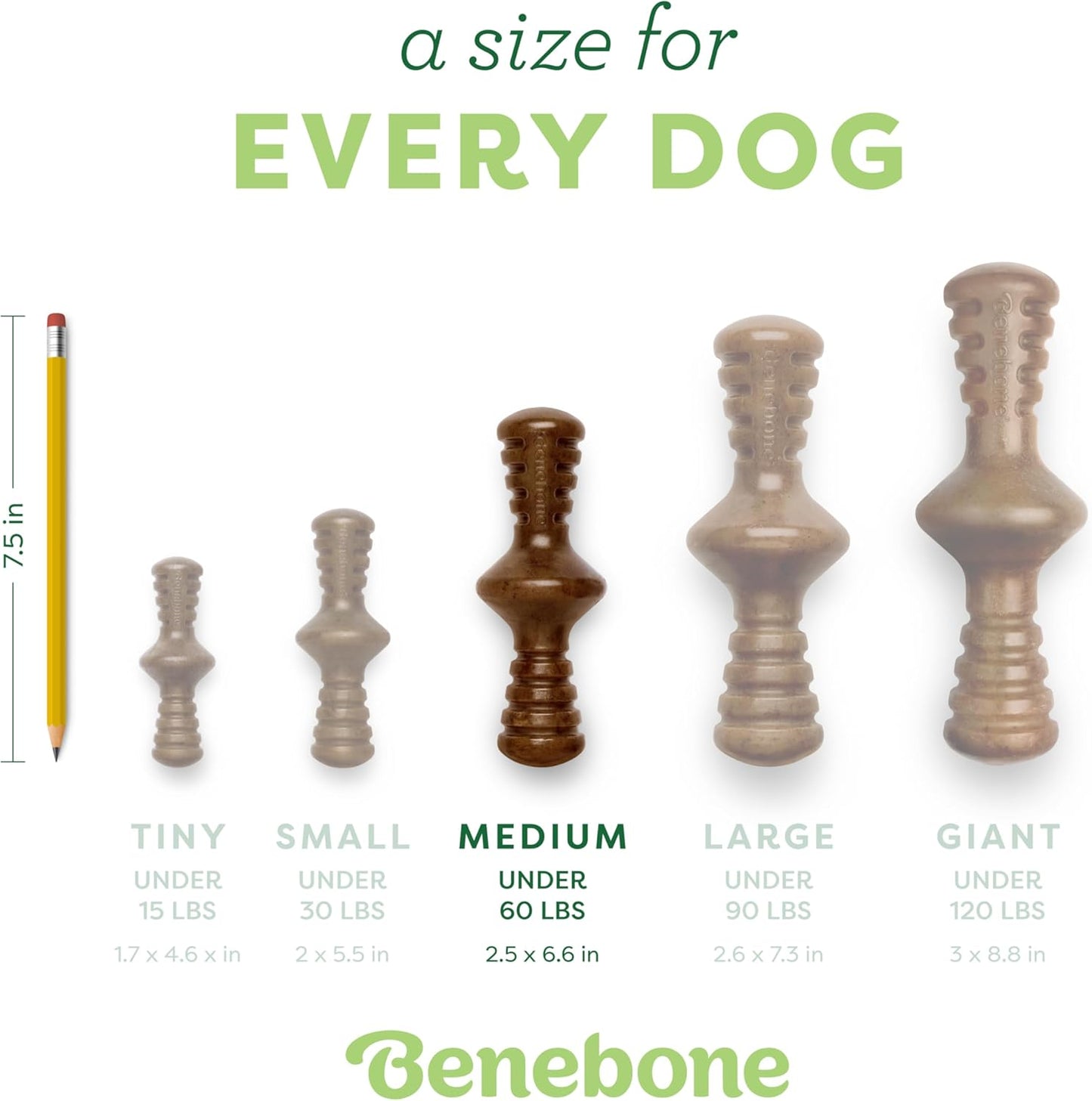 Dog Chew Toy