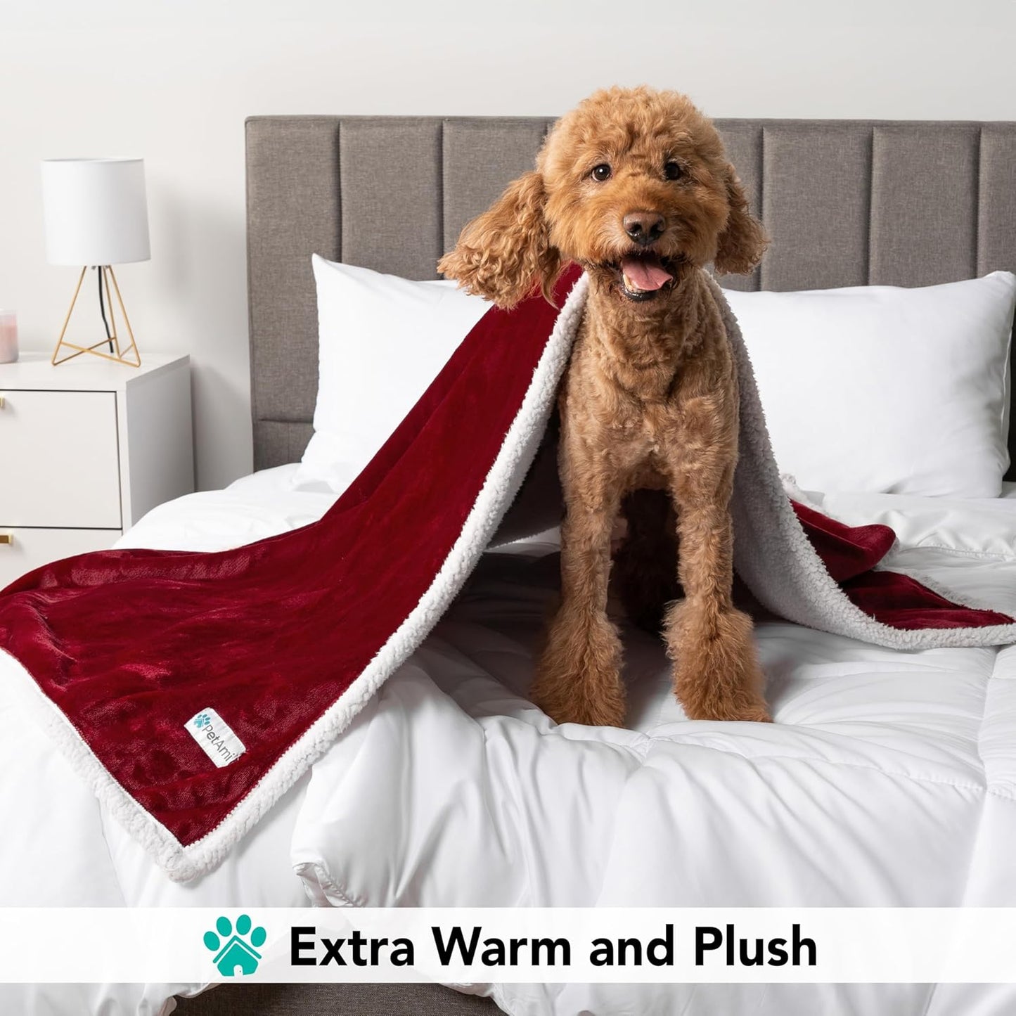 Dog Blanket for Small Medium Dogs