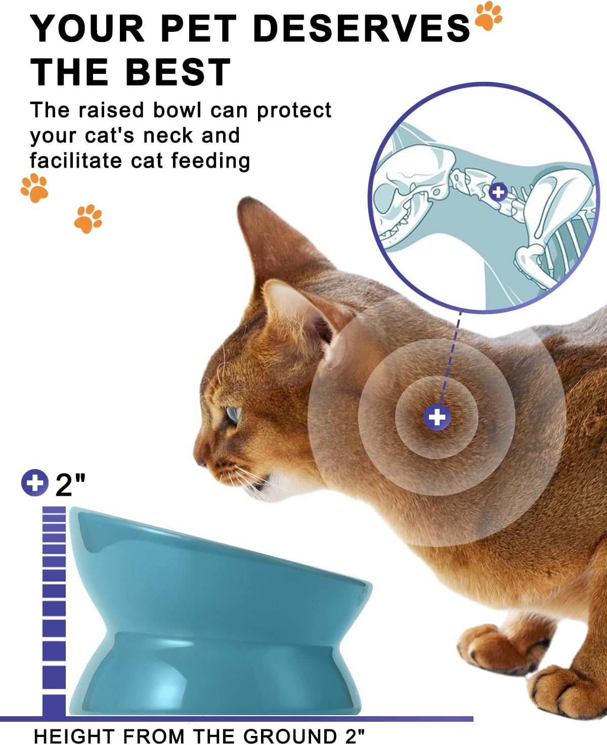 Elevated Ceramic Cat Food Bowl with Tilted Design – Spine-Friendly, Anti-Vomiting & Backflow Prevention, Lake Blue