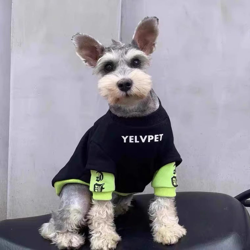 Cozy Autumn & Winter Pet Clothes – Stylish Outfits for Small Dogs & Cats