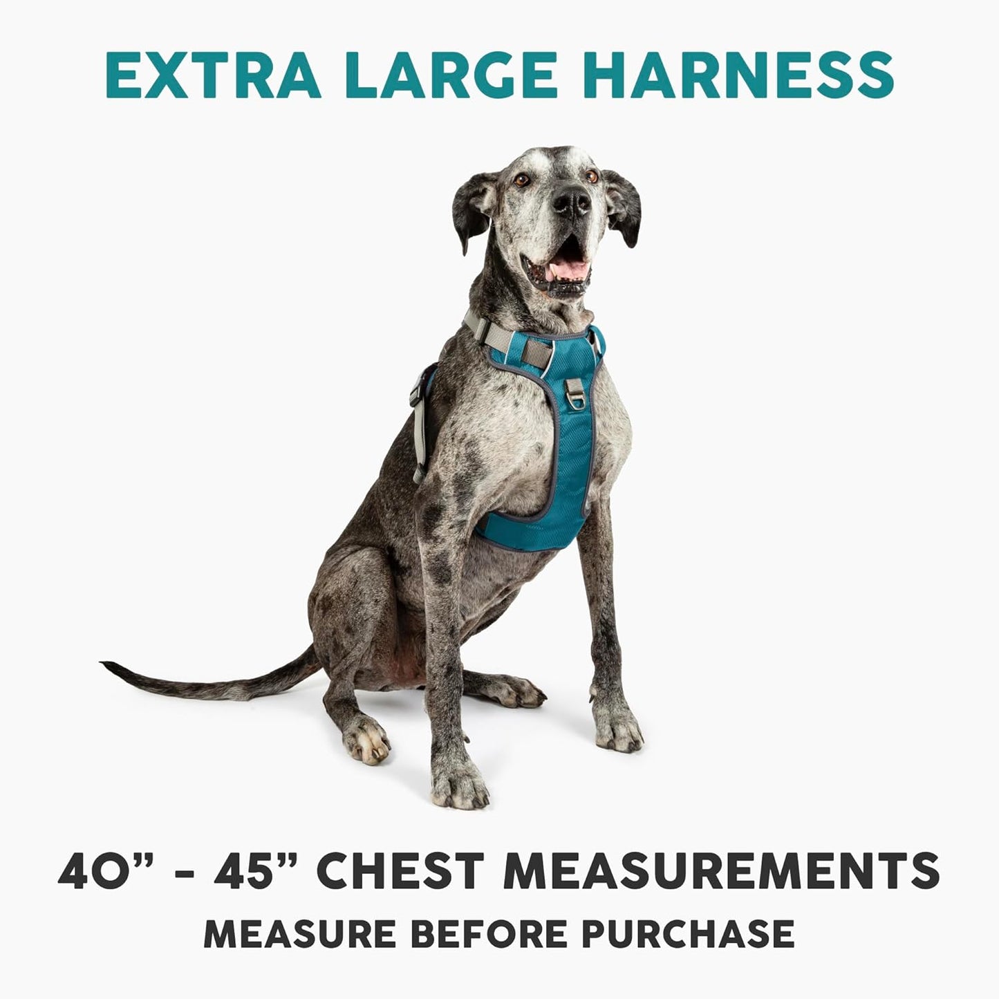 Dog Harness