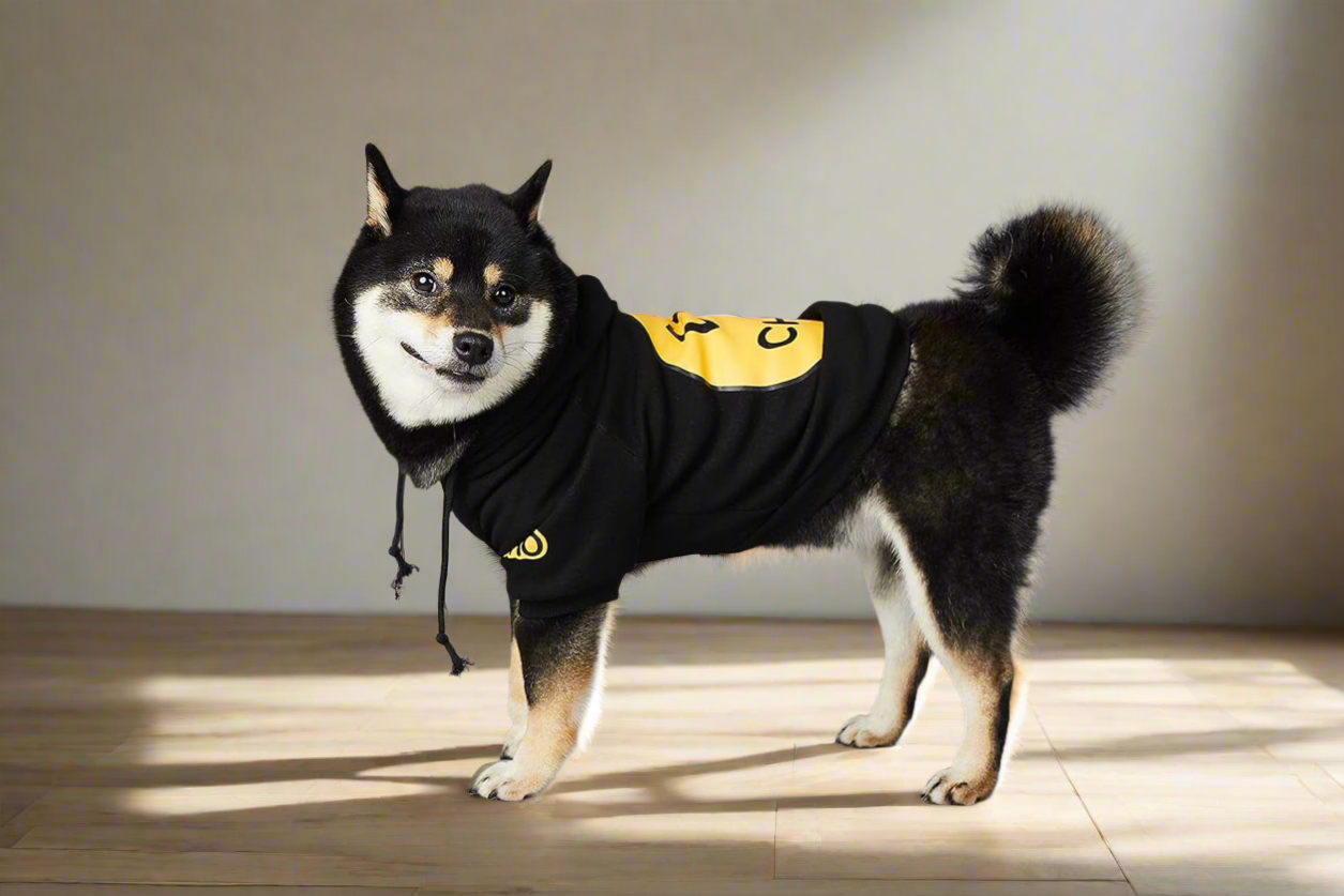 Smiley Face Dog Hoodie