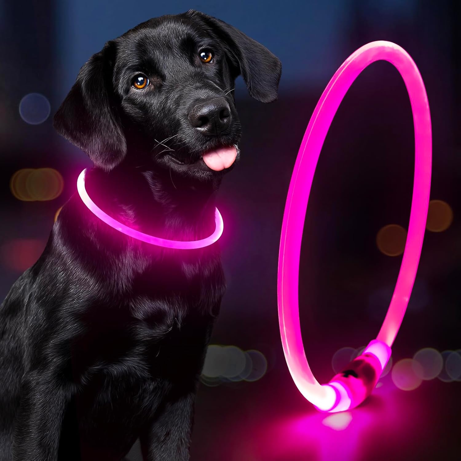 Light up Dog Collar