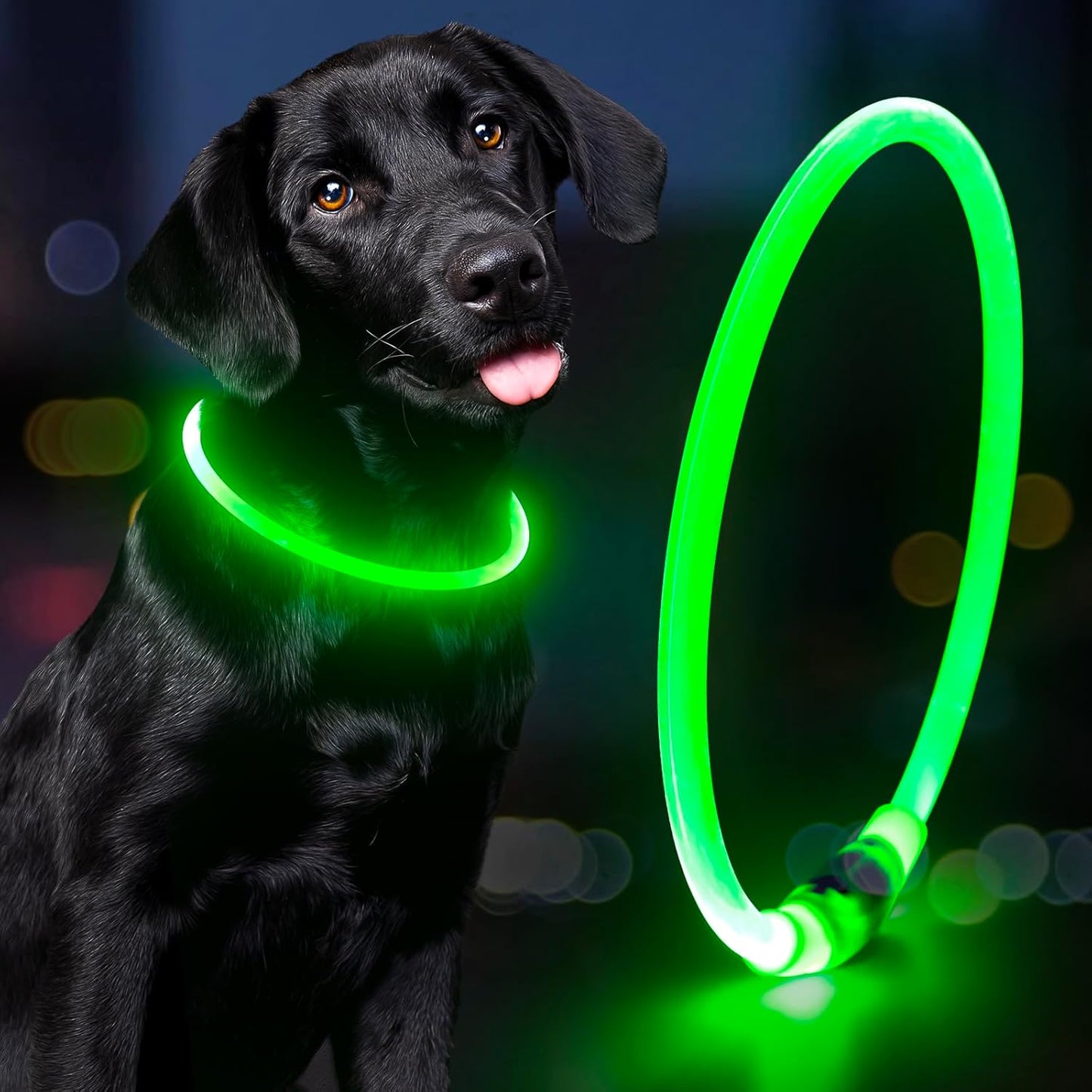 Led Dog Collar
