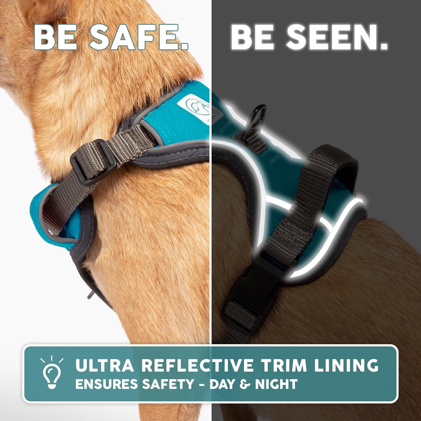 Dog Harness