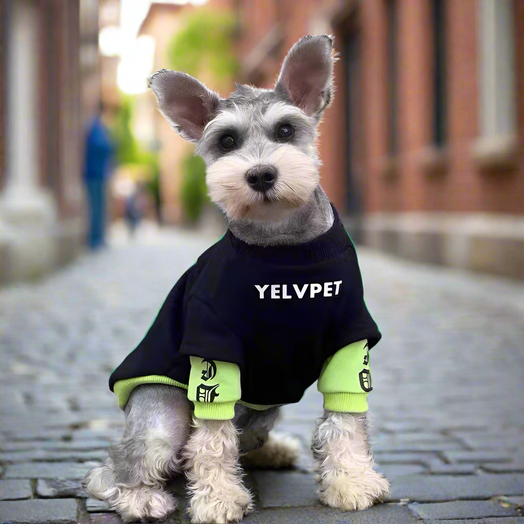 Cozy Autumn & Winter Pet Clothes