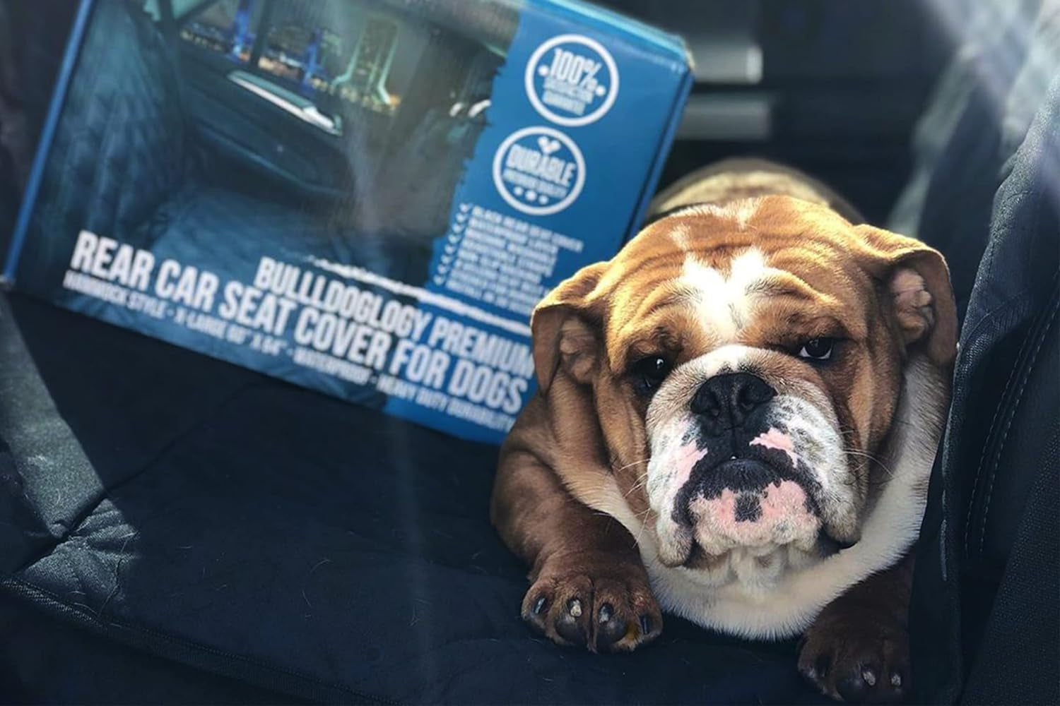 Dog Car Seat Cover for Back Seat