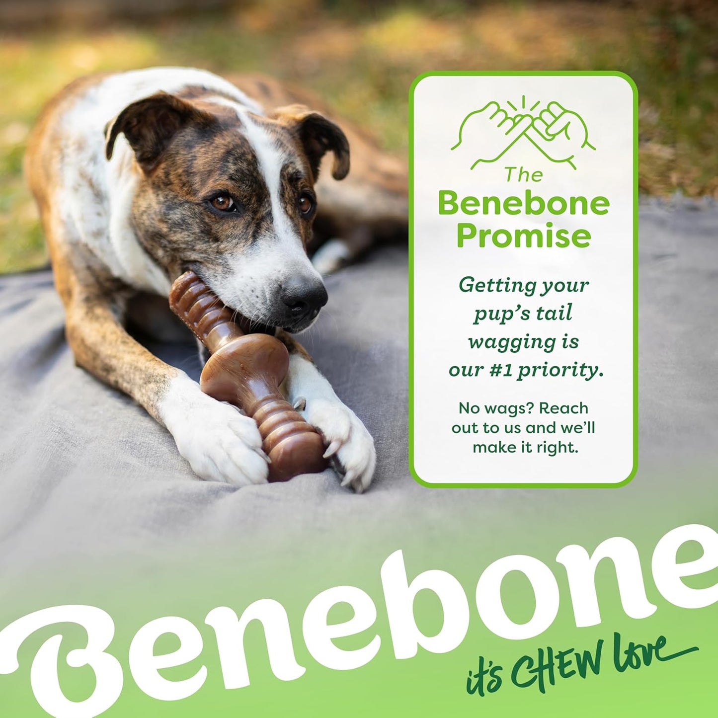 Dog Chew Toy