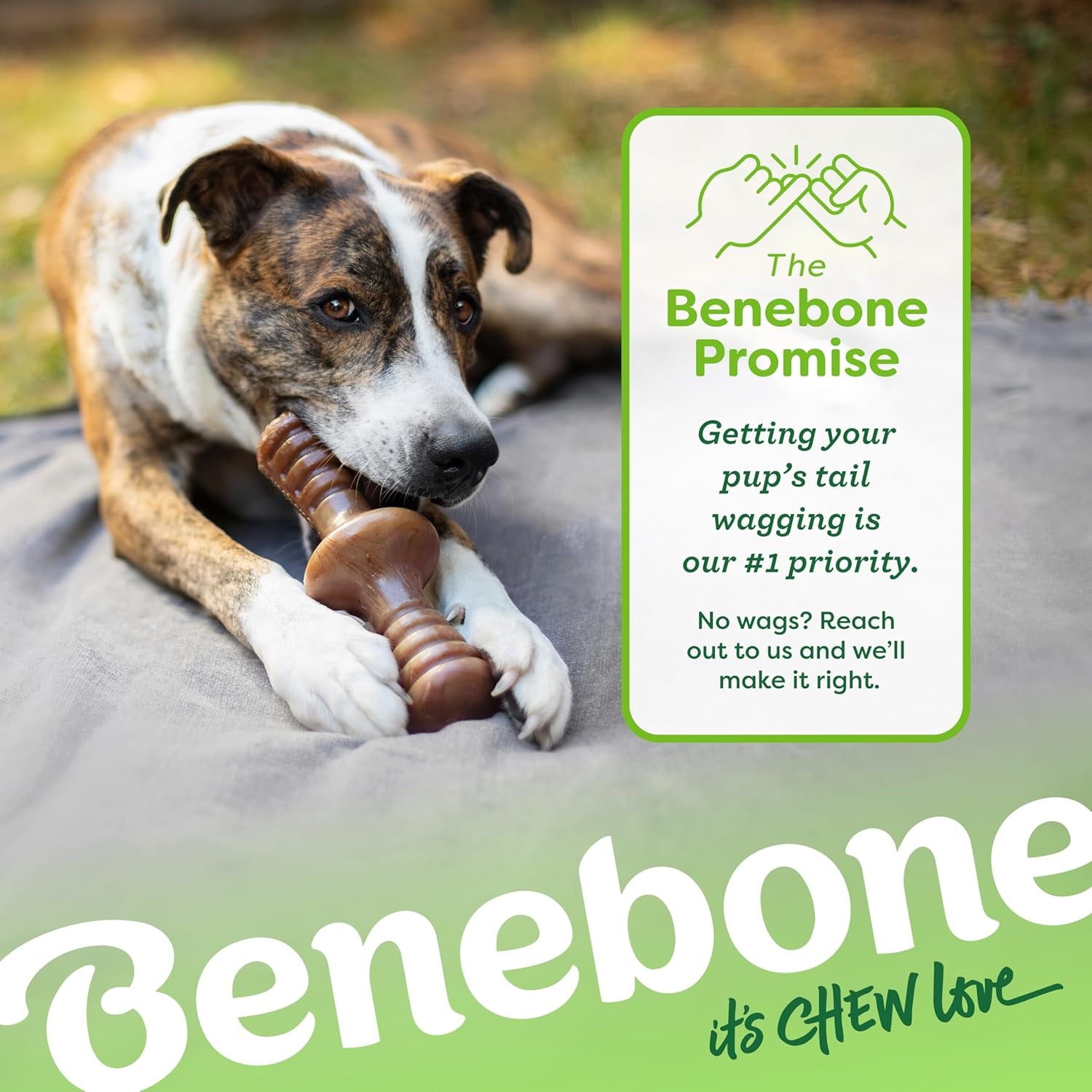 Dog Chew Toy