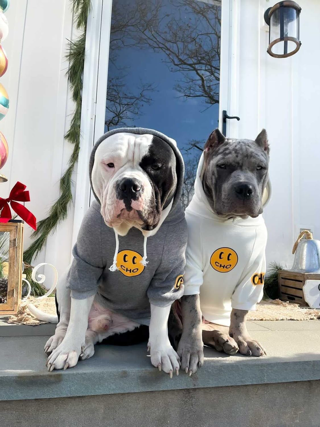 Smiley Face Dog Hoodie – Stylish Cotton Sweatshirt for Dogs & Cats, Cozy Pet Outfit for Small to Large Breeds (L, White)