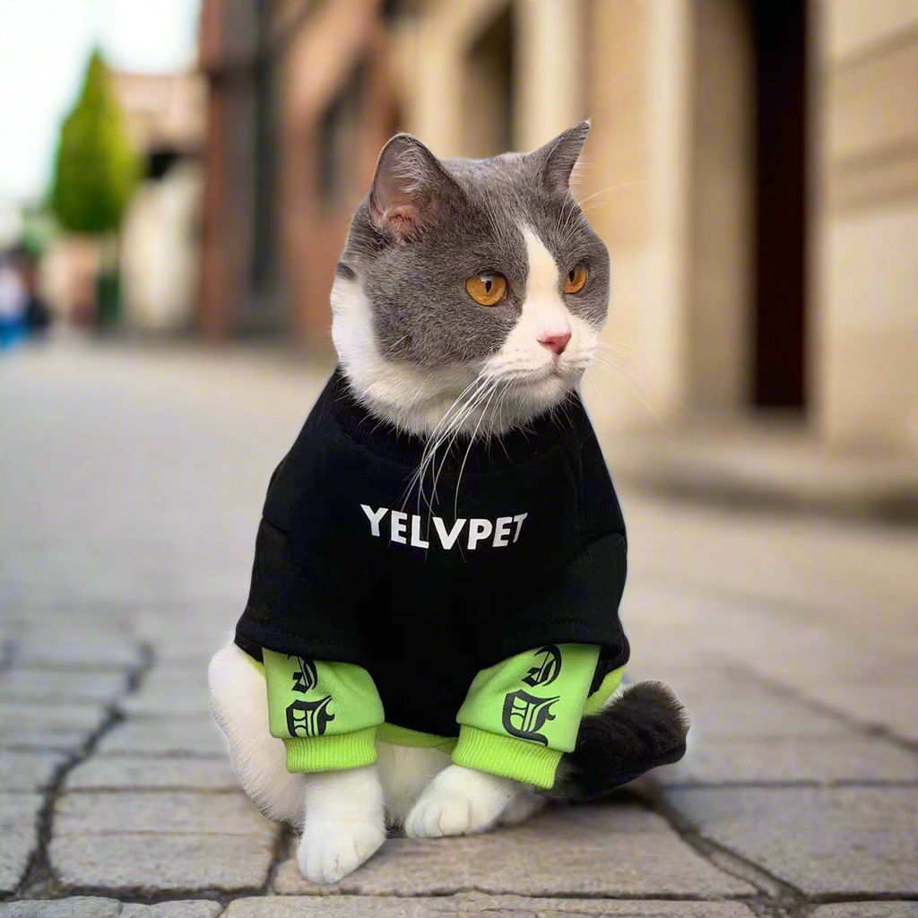 Cozy Autumn & Winter Pet Clothes