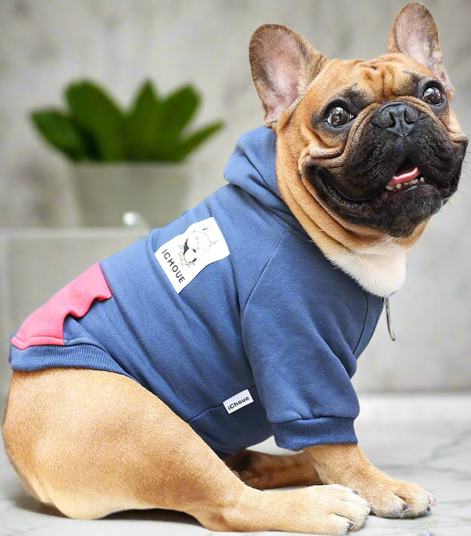 Bulldog Hoodie