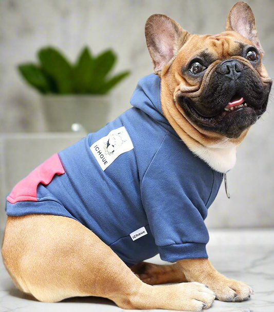Bulldog Hoodie