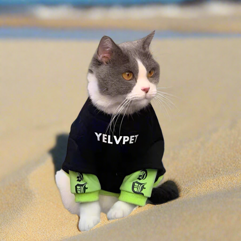 Cozy Autumn & Winter Pet Clothes