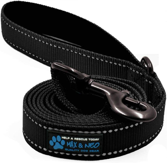 Small Dog Reflective Nylon Leash