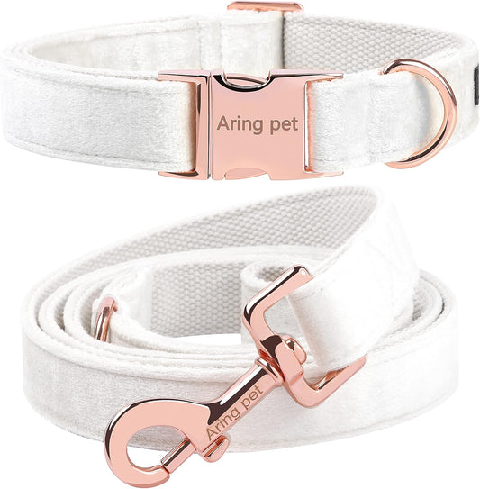 Dog Collar and Leash Set