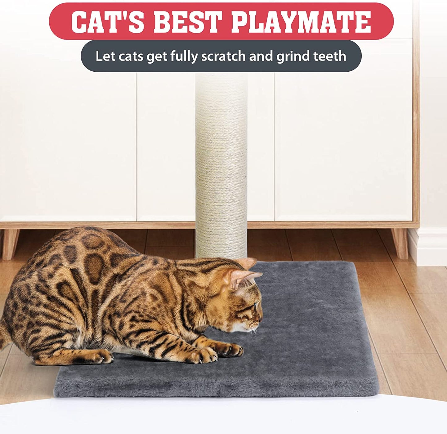 Tall Cat Scratching Post