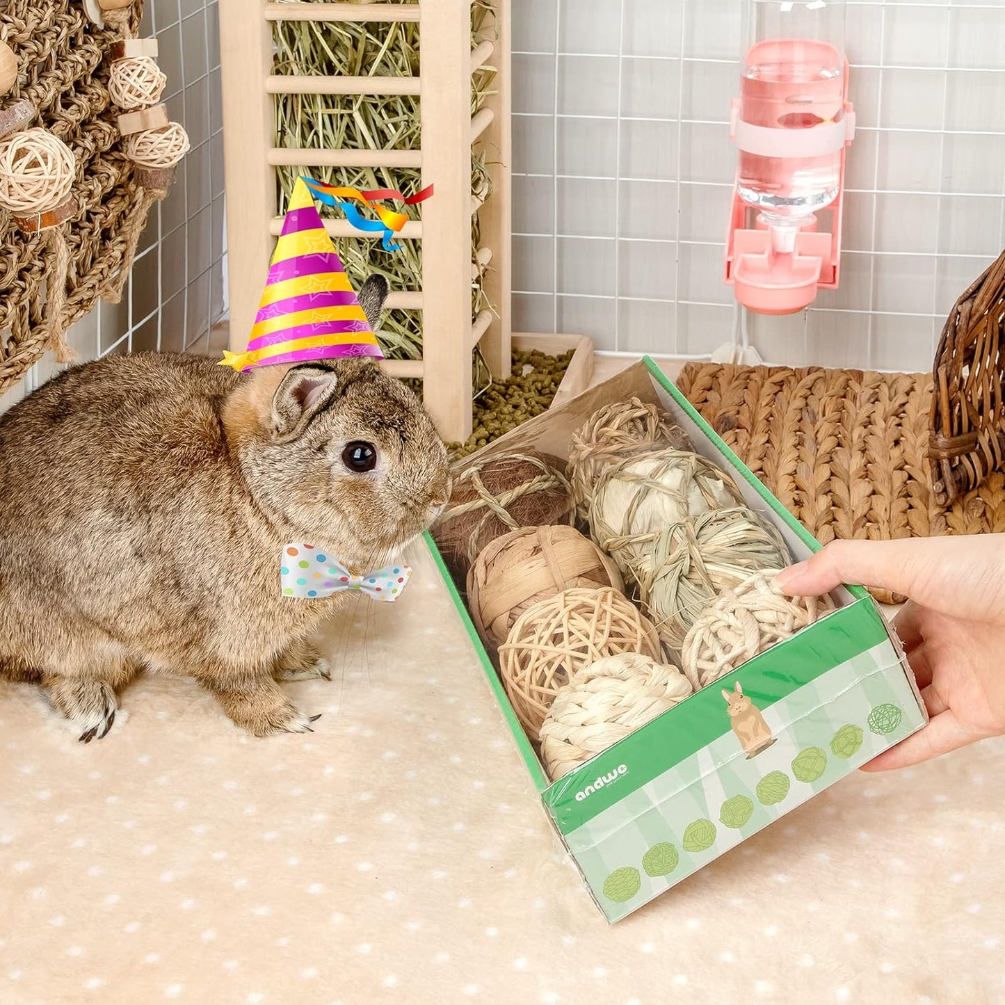 Small Animal Activity & Chew Balls – Fun Rolling Toys for Rabbits, Guinea Pigs, and Chinchillas