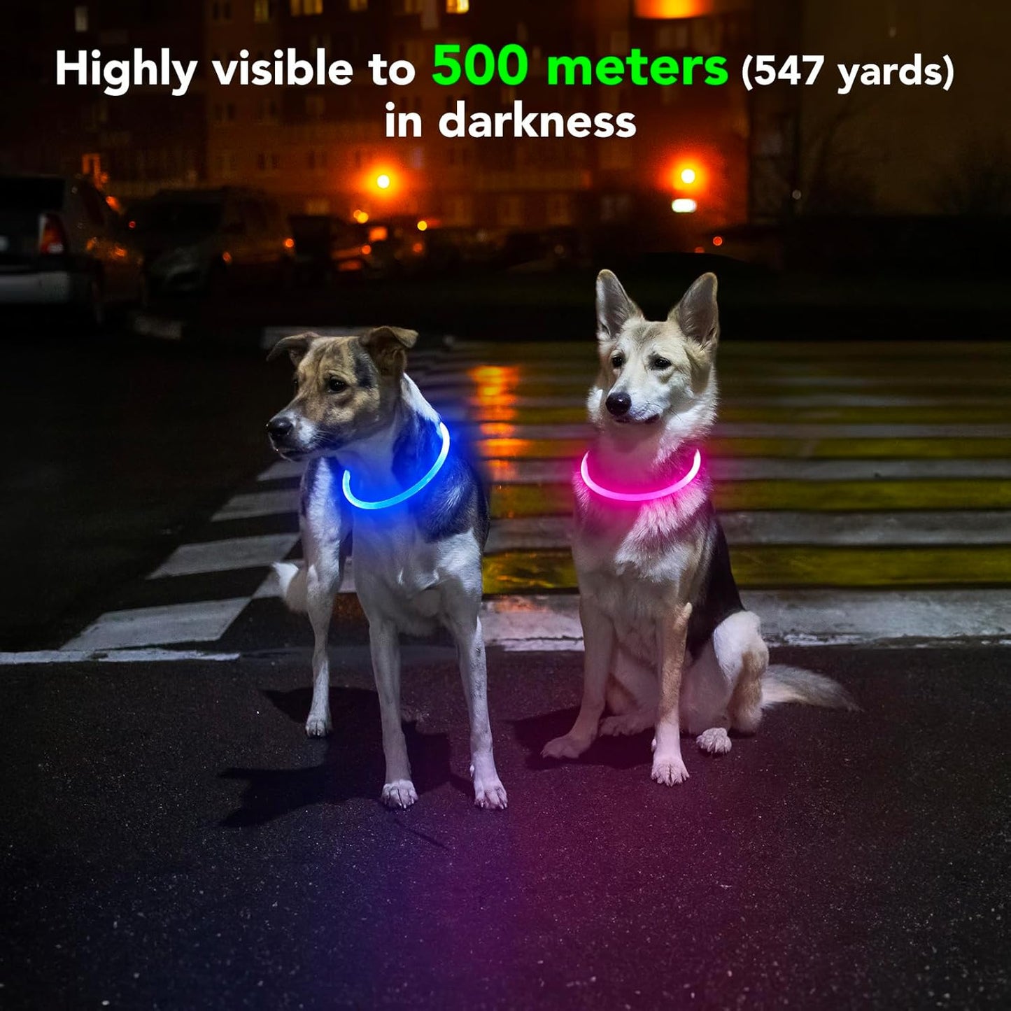 Light up Dog Collar