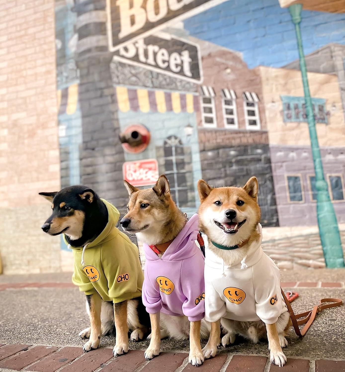 Smiley Face Dog Hoodie – Stylish Cotton Sweatshirt for Dogs & Cats, Cozy Pet Outfit for Small to Large Breeds (L, White)