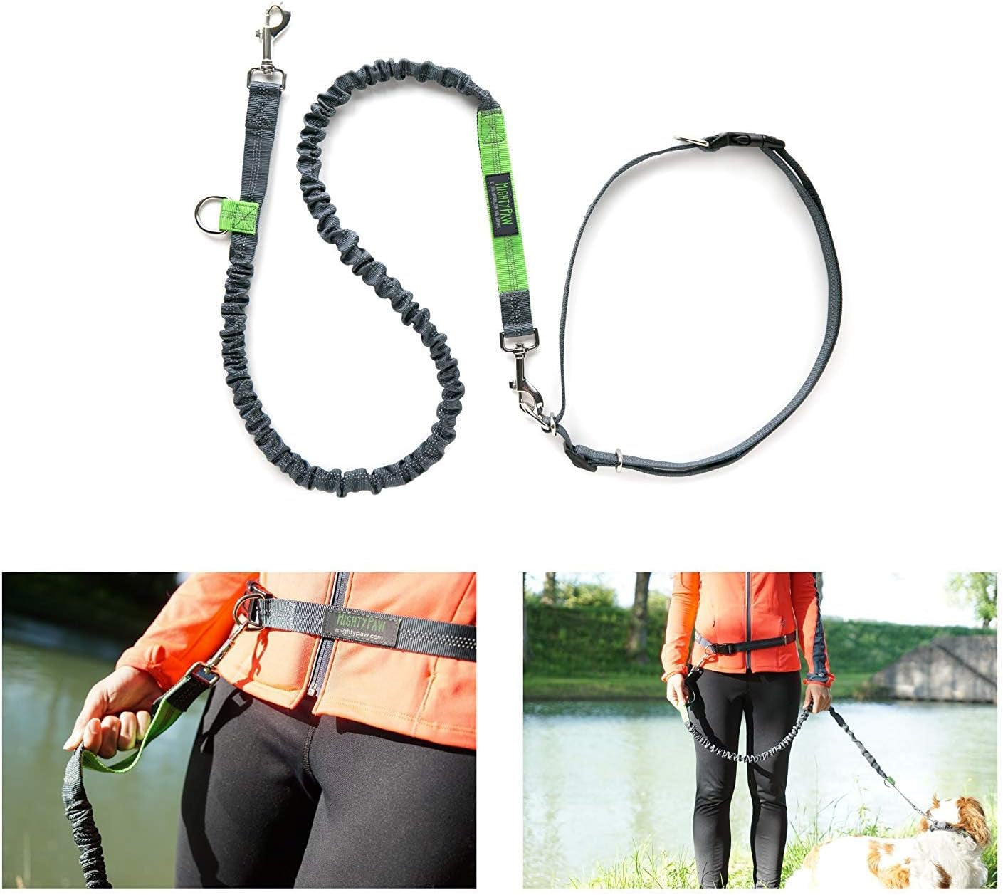 Hands Free Dog Leash
