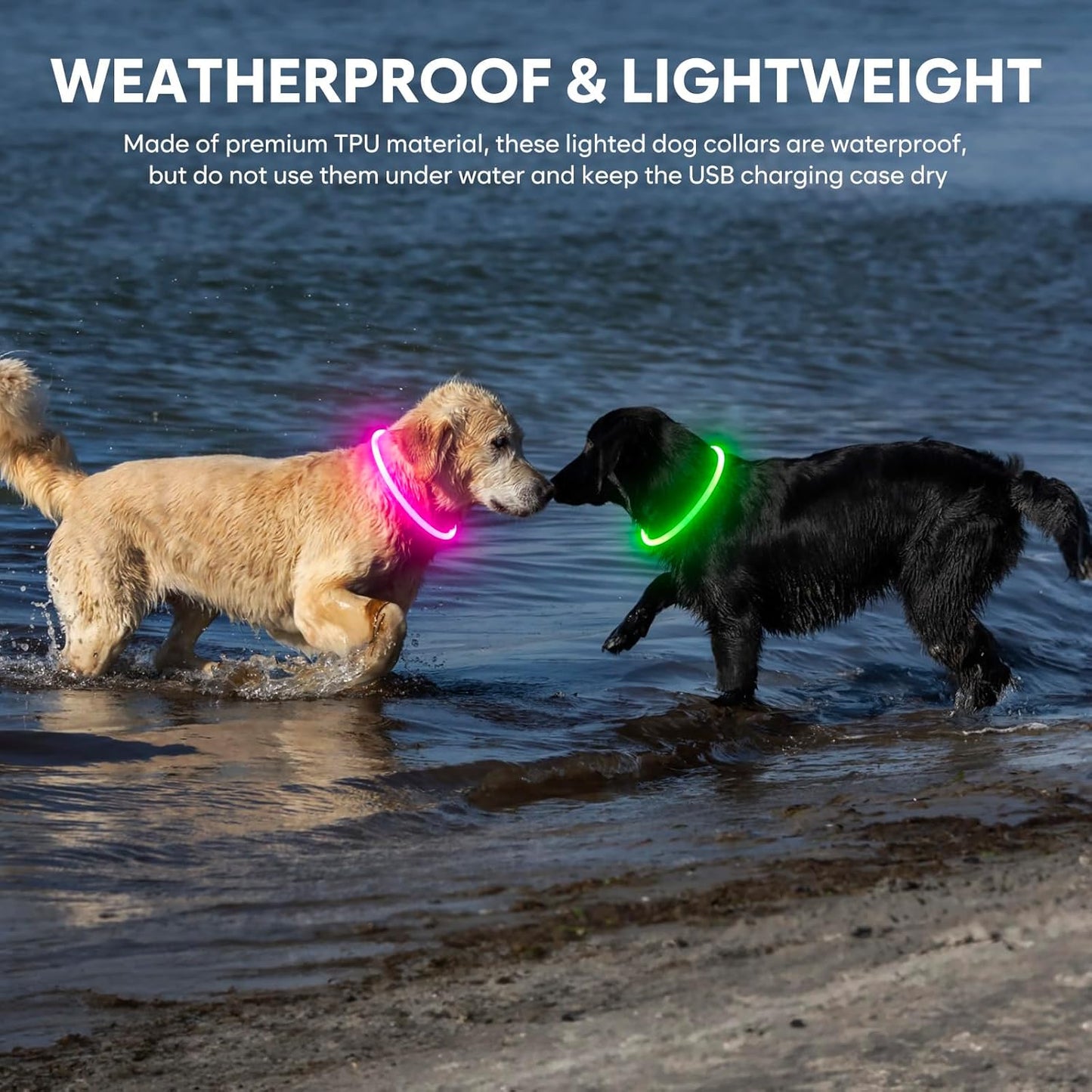 Led Dog Collar