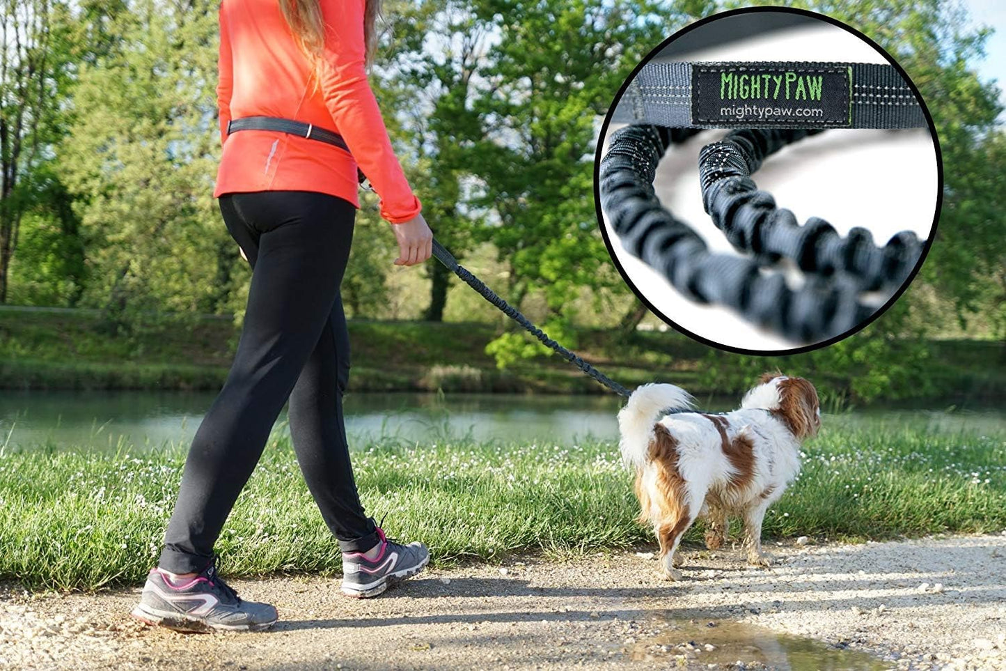 Hands Free Dog Leash