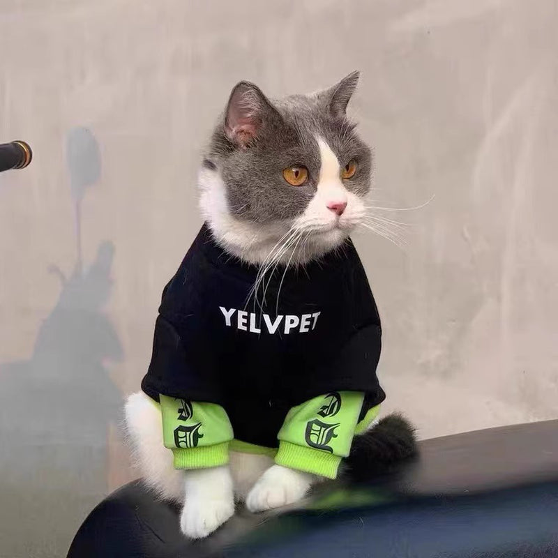 Cozy Autumn & Winter Pet Clothes – Stylish Outfits for Small Dogs & Cats